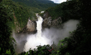 Forêt amazonienne : la condition de l’équilibre du monde