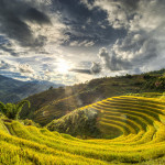 Mu Cang Chaï 
