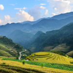 Mu Cang Chaï 