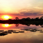Parc du Pantanal 