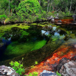 EL Caño Cristales 