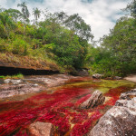 EL Caño Cristales 