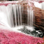 EL Caño Cristales 