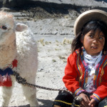 Le canyon de Colca 