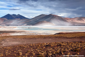 Le salar d’Atacama : l’étendue éblouissante aux cristaux de sel