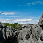 Tsingy du Bemaraha 