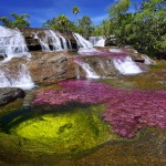 EL Caño Cristales 