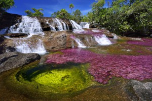 EL Caño Cristales : la rivière arc en ciel