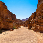 Canyon coloré 