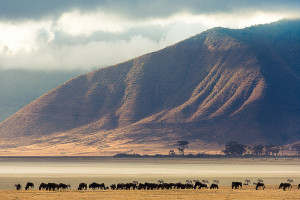 Cratère du Ngorongoro : une merveille géologique