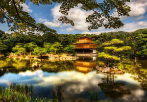 Kinkaku-ji : le temple sacré de Kyoto