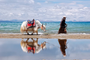 Namtso : le lac céleste du Tibet