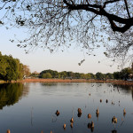 Le Lac de l'Ouest 