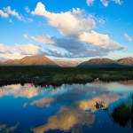 Parc de Denali 