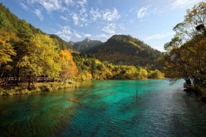 La vallée de Jiuzhaigou : entre eaux turquoise et forêts verdoyantes