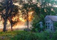 Bayous de Louisiane 