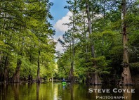 Bayous de Louisiane 
