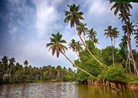 Backwaters du Kerala 