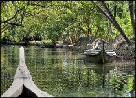 Backwaters du Kerala 