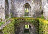 Château de Blarney 