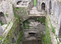 Château de Blarney 