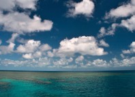 Grande barrière de corail 