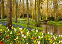 Jardins de Keukenhof 
