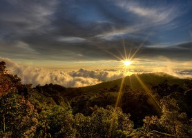 Foret de nuages de Monteverde : la forêt aux espèces rares