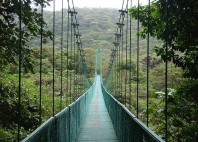 Foret de nuages de Monteverde 