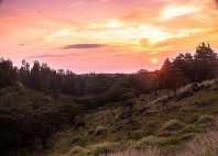 Foret de nuages de Monteverde 