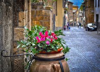 Orvieto 