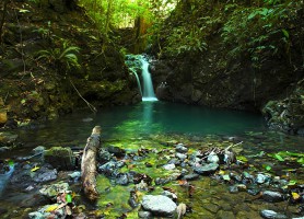 Parc national Corcovado : un complexe de biodiversités