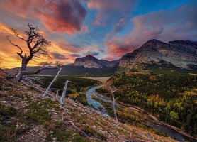 Parc national de Glacier : une biosphère unique au monde