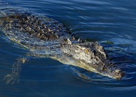 Parc national de Kakadu 