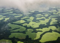 Parc national de la Garamba 