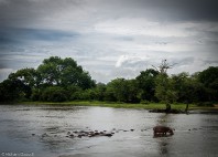 Parc national de la Garamba 