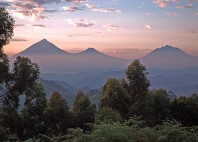 Parc national des Virunga 