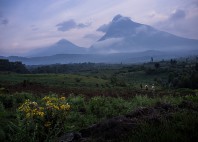 Parc national des Virunga 