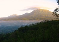 Parc national des Virunga 