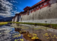 Dzong de Punakha 