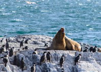 Parc national de Tierra del Fuego 