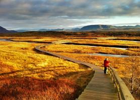 Parc national de Þingvellir : entre le charme et le passé de l'Islande !