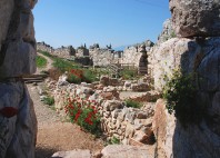 Tirynthe 