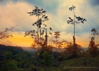Parc du Volcan Arenal 