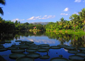 Réserve du Xishuangbanna : un jardin céleste