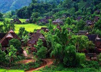 Réserve du Xishuangbanna 