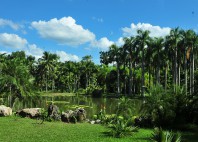 Réserve du Xishuangbanna 