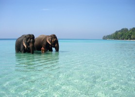 Îles Andaman : la perle longtemps restée cachée