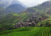 Rizières de Longji 