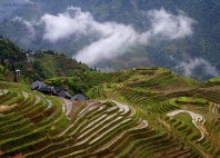 Rizières de Longji 